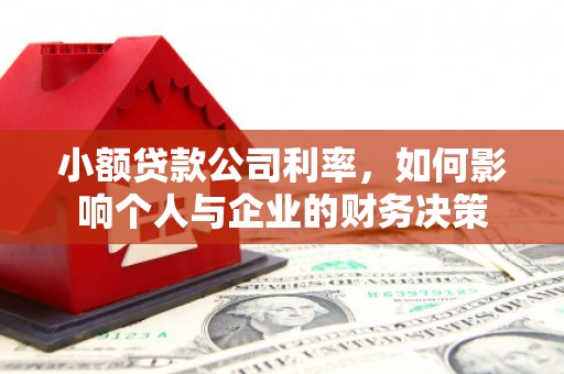 禹州小额贷款公司利率，如何影响个人与企业的财务决策