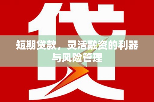 禹州短期贷款，灵活融资的利器与风险管理
