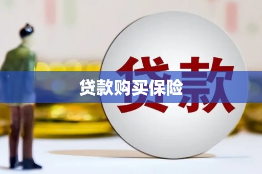 禹州贷款购买保险