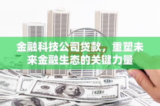 禹州金融科技公司贷款，重塑未来金融生态的关键力量