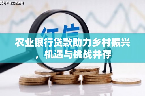 禹州农业银行贷款助力乡村振兴，机遇与挑战并存