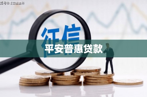 禹州平安普惠贷款