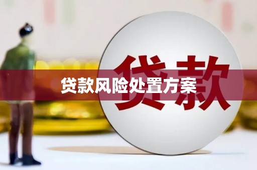 禹州贷款风险处置方案