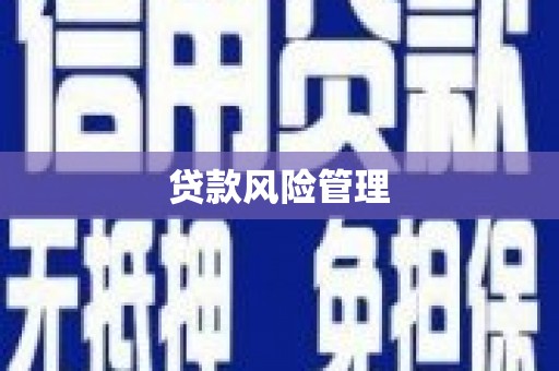 禹州贷款风险管理