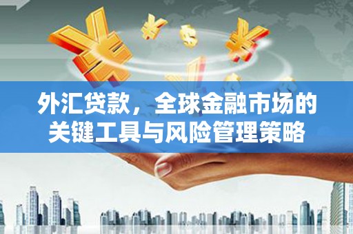 禹州外汇贷款，全球金融市场的关键工具与风险管理策略
