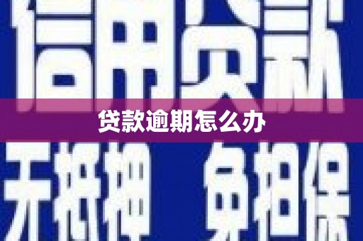 禹州贷款逾期怎么办