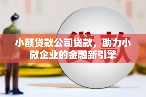禹州小额贷款公司贷款，助力小微企业的金融新引擎