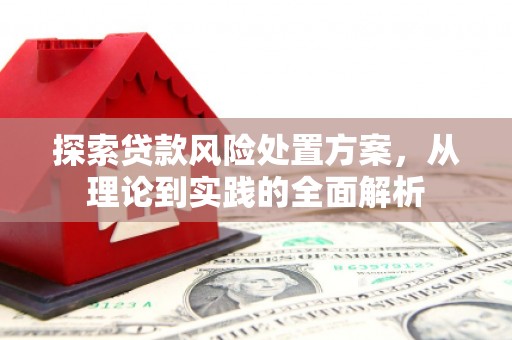 禹州探索贷款风险处置方案，从理论到实践的全面解析