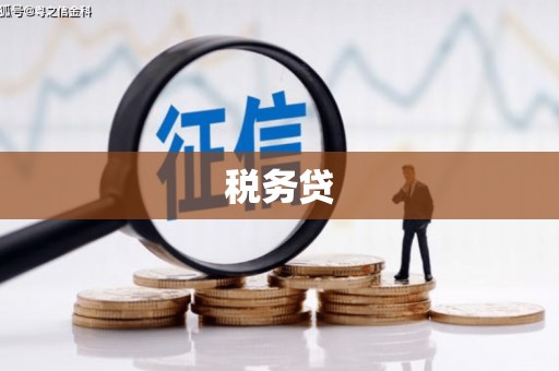 禹州税务贷