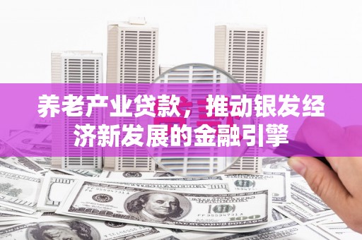 禹州养老产业贷款，推动银发经济新发展的金融引擎