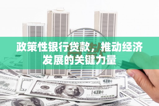 禹州政策性银行贷款，推动经济发展的关键力量