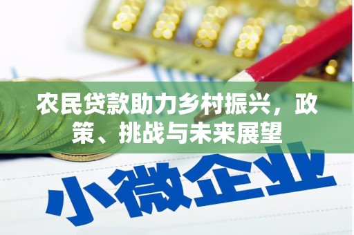 禹州农民贷款助力乡村振兴，政策、挑战与未来展望
