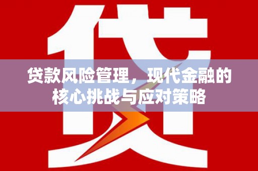 禹州贷款风险管理，现代金融的核心挑战与应对策略