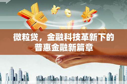 禹州微粒贷，金融科技革新下的普惠金融新篇章