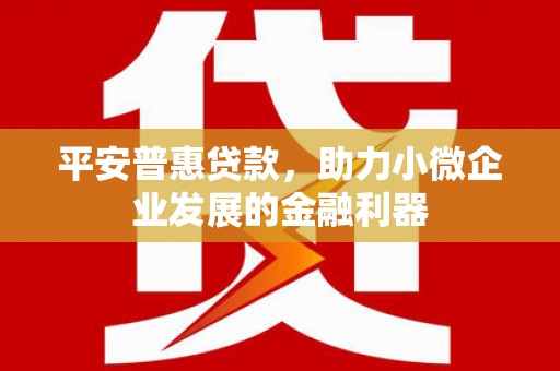 禹州平安普惠贷款，助力小微企业发展的金融利器