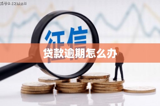 禹州贷款逾期怎么办