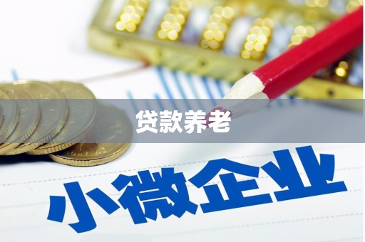 禹州贷款养老