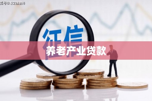 禹州养老产业贷款