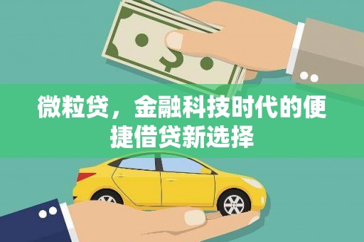 禹州微粒贷，金融科技时代的便捷借贷新选择