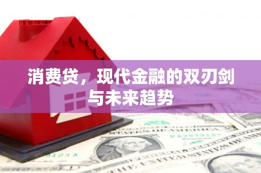 禹州消费贷，现代金融的双刃剑与未来趋势