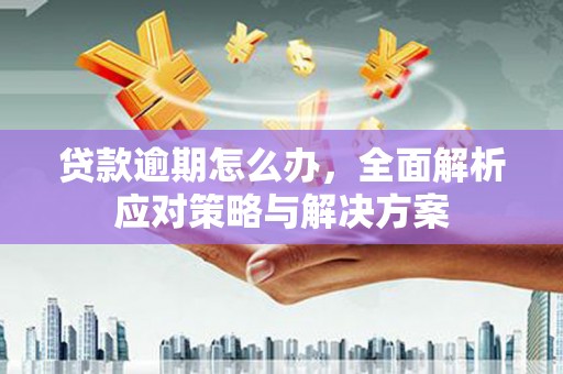 禹州贷款逾期怎么办，全面解析应对策略与解决方案