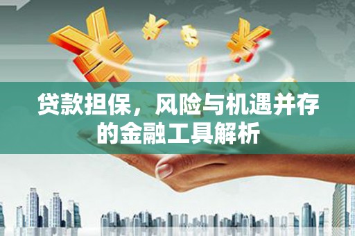 禹州贷款担保，风险与机遇并存的金融工具解析