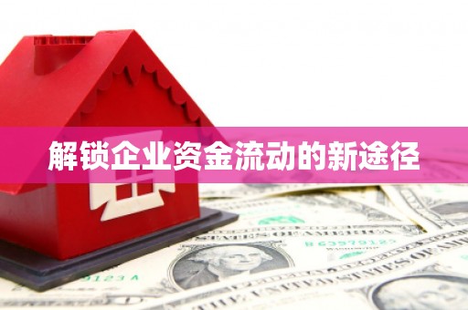 禹州解锁企业资金流动的新途径