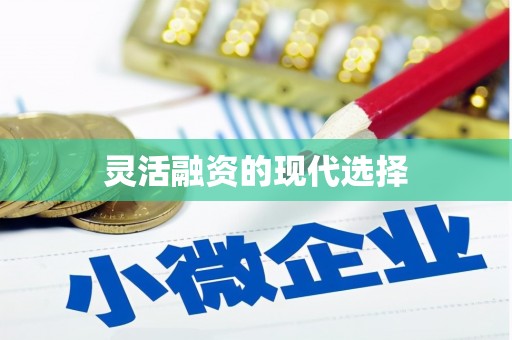 禹州灵活融资的现代选择