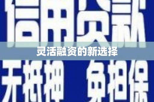 禹州灵活融资的新选择