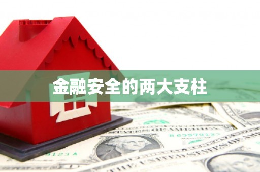 禹州金融安全的两大支柱