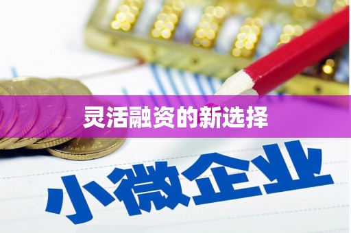 禹州灵活融资的新选择