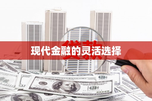 禹州现代金融的灵活选择