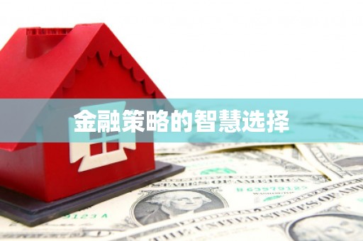 禹州金融策略的智慧选择