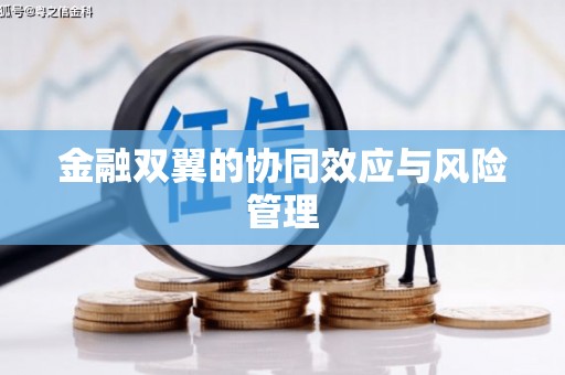 禹州金融双翼的协同效应与风险管理
