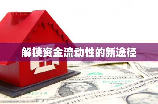 禹州解锁资金流动性的新途径