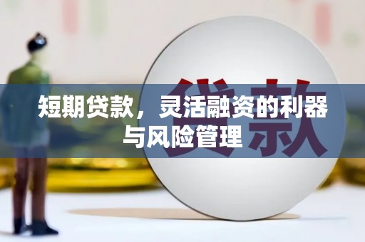禹州短期贷款，灵活融资的利器与风险管理