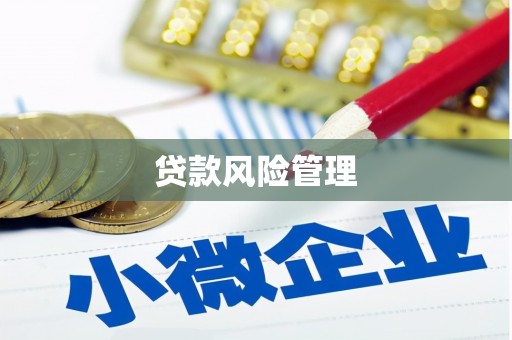 禹州贷款风险管理