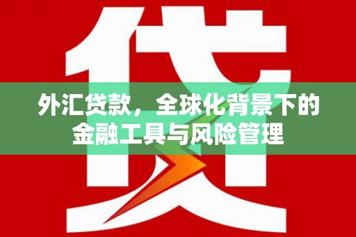 禹州外汇贷款，全球化背景下的金融工具与风险管理